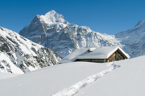 Ferienwohnung Berner Oberland