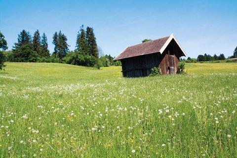 Ferienwohnung Bayerischer Wald